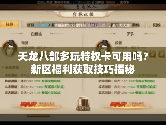 天龙八部多玩特权卡可用吗？新区福利获取技巧揭秘