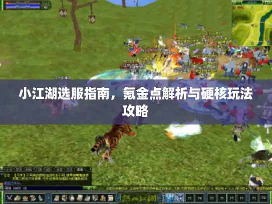 小江湖选服指南，氪金点解析与硬核玩法攻略