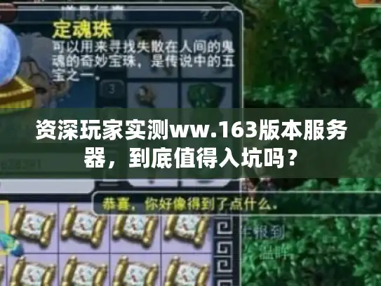 资深玩家实测ww.163版本服务器，到底值得入坑吗？