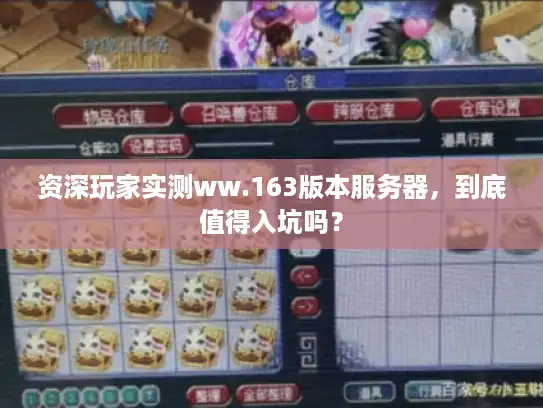 资深玩家实测ww.163版本服务器，到底值得入坑吗？