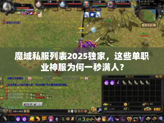 魔域私服列表2025独家，这些单职业神服为何一秒满人？