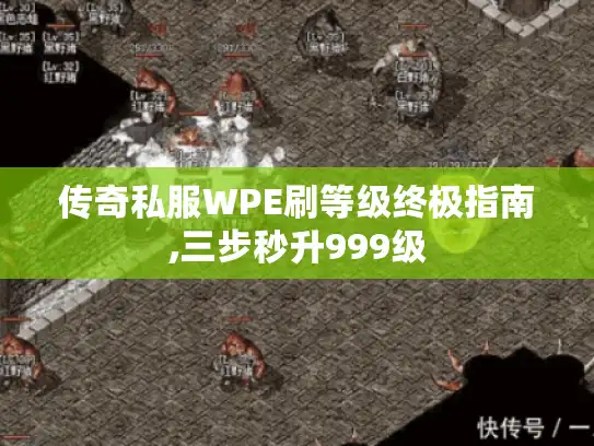 传奇私服WPE刷等级终极指南,三步秒升999级 传奇私服WPE刷等级终极指南,三步秒升999级