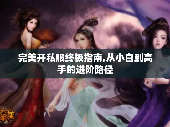 完美开私服终极指南,从小白到高手的进阶路径 完美开私服终极指南,从小白到高手的进阶路径