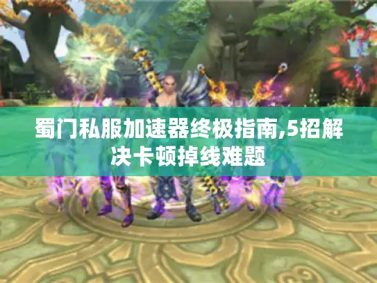 蜀门私服加速器终极指南,5招解决卡顿掉线难题