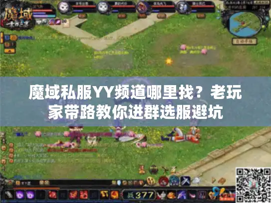 魔域私服YY频道哪里找？老玩家带路教你进群选服避坑