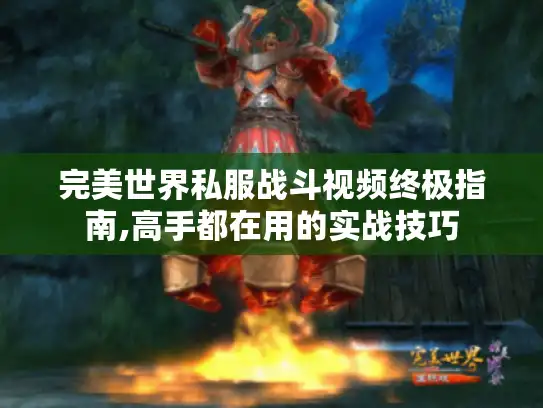 完美世界私服战斗视频终极指南,高手都在用的实战技巧