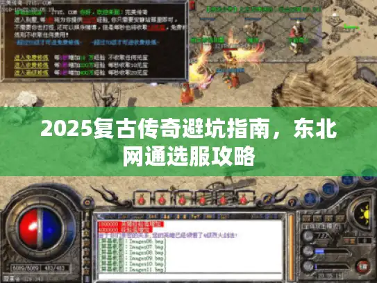 2025复古传奇避坑指南，东北网通选服攻略
