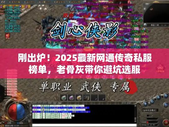 刚出炉！2025最新网通传奇私服榜单，老骨灰带你避坑选服