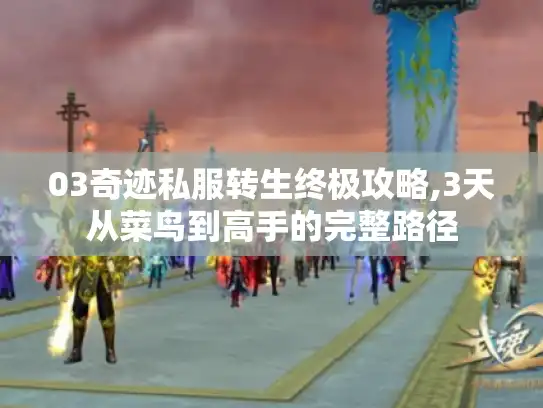 03奇迹私服转生终极攻略,3天从菜鸟到高手的完整路径