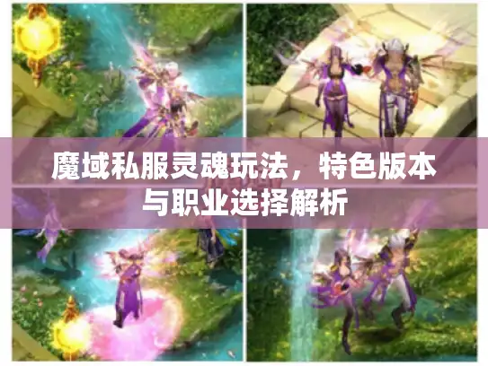 魔域私服灵魂玩法,特色版本与职业选择解析 魔域私服灵魂玩法,特色版本与职业选择解析