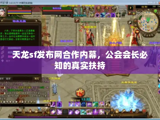 天龙sf发布网合作内幕，公会会长必知的真实扶持