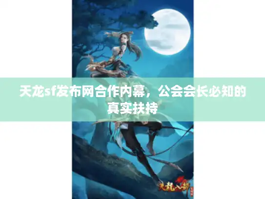 天龙sf发布网合作内幕，公会会长必知的真实扶持