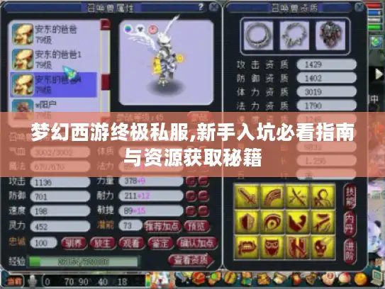 梦幻西游终极私服,新手入坑必看指南与资源获取秘籍