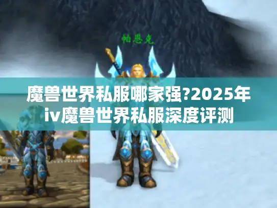 魔兽世界私服哪家强?2025年iv魔兽世界私服深度评测