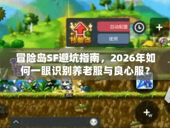 冒险岛SF避坑指南,2026年如何一眼识别养老服与良心服? 冒险岛SF避坑指南,2026年如何一眼识别养老服与良心服?