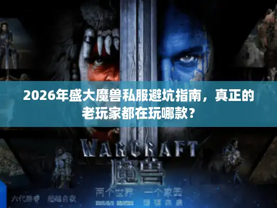 2026年盛大魔兽私服避坑指南，真正的老玩家都在玩哪款？