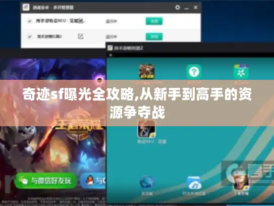 奇迹sf曝光全攻略,从新手到高手的资源争夺战