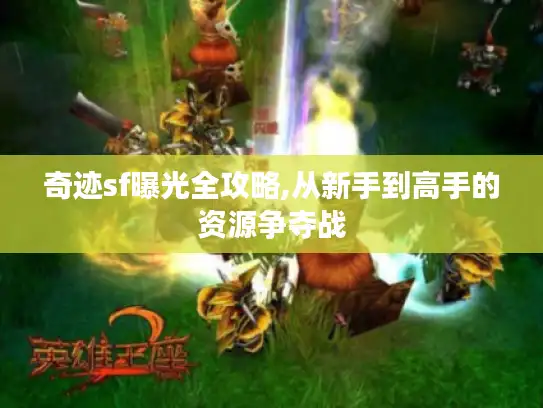 奇迹sf曝光全攻略,从新手到高手的资源争夺战