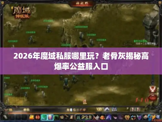 2026年魔域私服哪里玩？老骨灰揭秘高爆率公益服入口