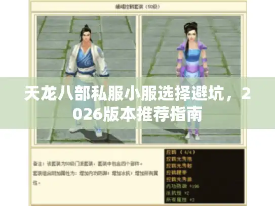 天龙八部私服小服选择避坑，2026版本推荐指南