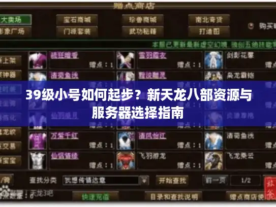 39级小号如何起步?新天龙八部资源与服务器选择指南 39级小号如何起步?新天龙八部资源与服务器选择指南