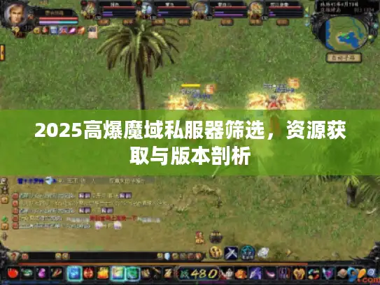 2025高爆魔域私服器筛选，资源获取与版本剖析