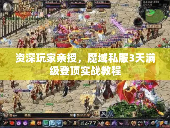 资深玩家亲授，魔域私服3天满级登顶实战教程