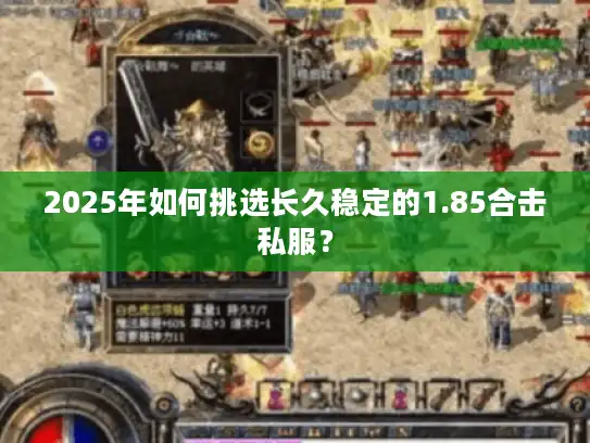 2025年如何挑选长久稳定的1.85合击私服？
