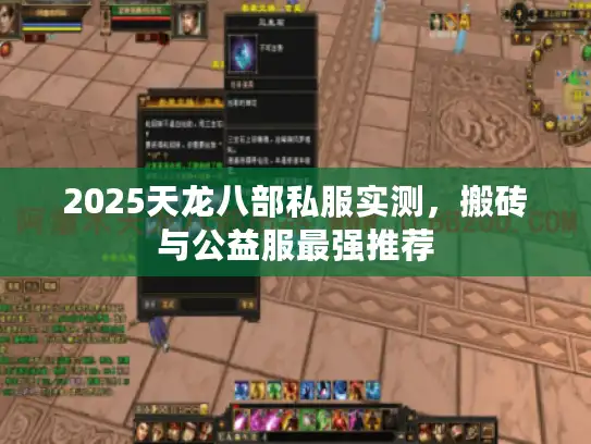 2025天龙八部私服实测，搬砖与公益服最强推荐