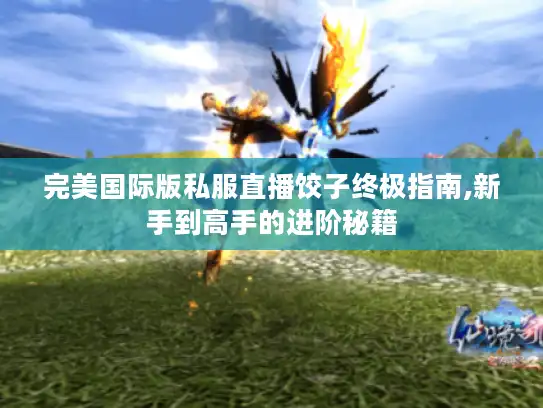 完美国际版私服直播饺子终极指南,新手到高手的进阶秘籍