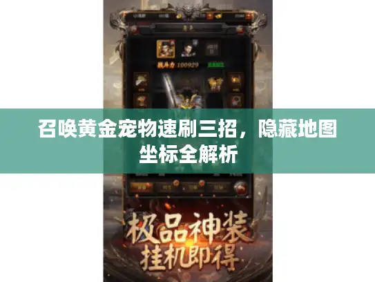 召唤黄金宠物速刷三招，隐藏地图坐标全解析