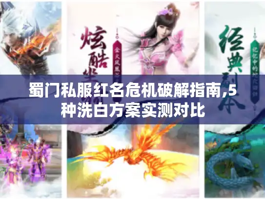 蜀门私服红名危机破解指南,5种洗白方案实测对比