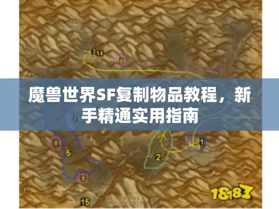 魔兽世界SF复制物品教程，新手精通实用指南