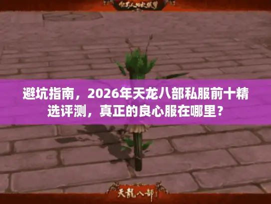 避坑指南，2026年天龙八部私服前十精选评测，真正的良心服在哪里？