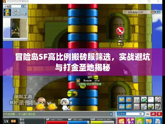 冒险岛SF高比例搬砖服筛选，实战避坑与打金圣地揭秘