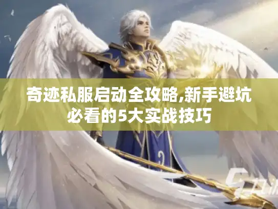奇迹私服启动全攻略,新手避坑必看的5大实战技巧