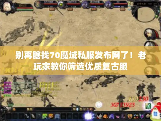别再瞎找70魔域私服发布网了！老玩家教你筛选优质复古服