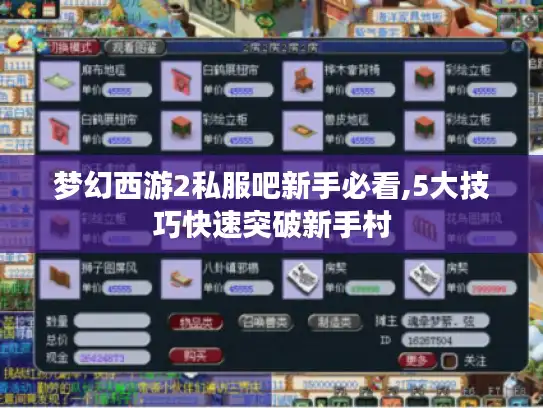梦幻西游2私服吧新手必看,5大技巧快速突破新手村