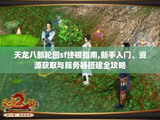 天龙八部轮回sf终极指南,新手入门、资源获取与服务器搭建全攻略