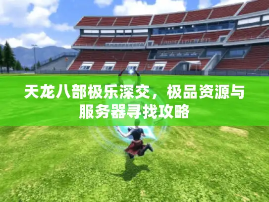 天龙八部极乐深交，极品资源与服务器寻找攻略