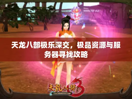 天龙八部极乐深交，极品资源与服务器寻找攻略