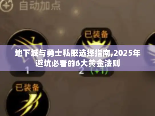 地下城与勇士私服选择指南,2025年避坑必看的6大黄金法则