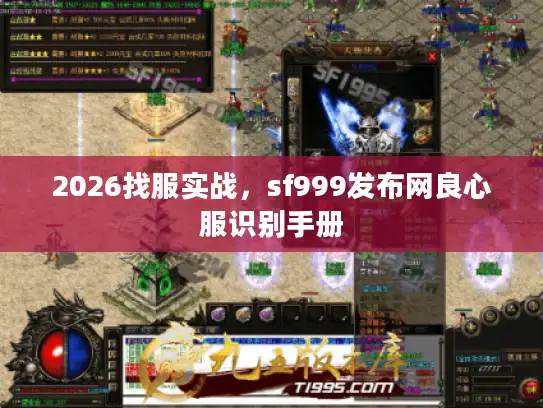 2026找服实战,sf999发布网良心服识别手册 2026找服实战,sf999发布网良心服识别手册