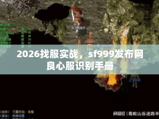 2026找服实战,sf999发布网良心服识别手册 2026找服实战,sf999发布网良心服识别手册