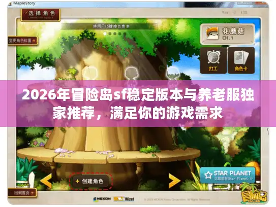 2026年冒险岛sf稳定版本与养老服独家推荐，满足你的游戏需求