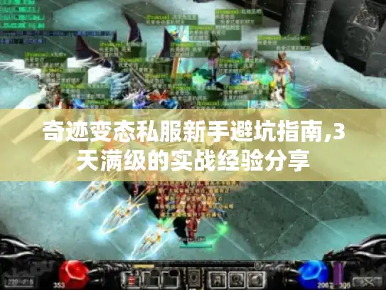 奇迹变态私服新手避坑指南,3天满级的实战经验分享