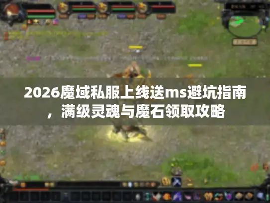 2026魔域私服上线送ms避坑指南，满级灵魂与魔石领取攻略