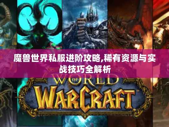魔兽世界私服进阶攻略,稀有资源与实战技巧全解析