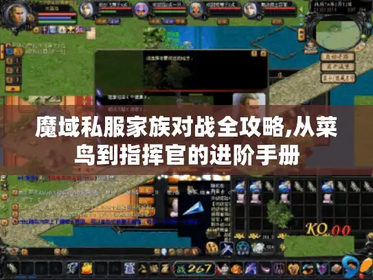 魔域私服家族对战全攻略,从菜鸟到指挥官的进阶手册