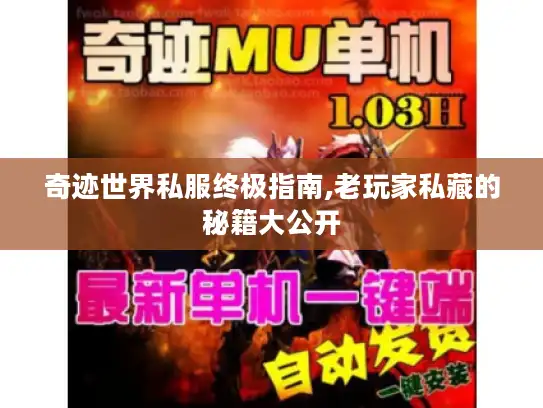 奇迹世界私服终极指南,老玩家私藏的秘籍大公开